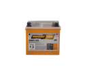 Battery 12V 5AH PIONEIRO