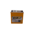 Battery 12V 5AH PIONEIRO
