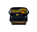 PIONEIRO Battery (12V 48AH 11P) F48GD