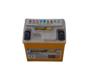 PIONEIRO Battery (12V 7AH) 7BS